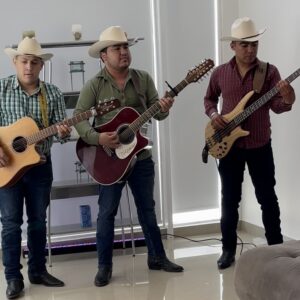 Three musicians holding and playing guitar at house