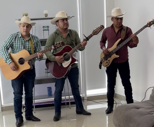 Three musicians holding and playing guitar at house