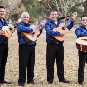 All musicians band in blue dresses posing with their guitars