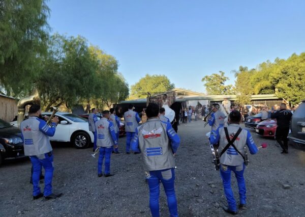 Musicians in blue dress code performing their instruments in a wedding event