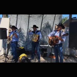 three people with cowboy hats singing and playing instrument