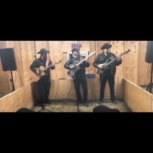 Musicians standing and playing guitar in a room