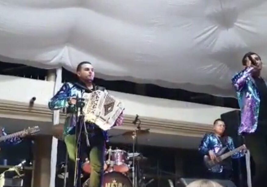 Musician with their guitar, accordion, snare drum performing on stage