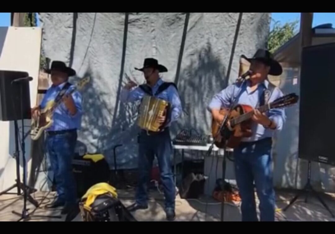 three people with cowboy hats singing and playing instrument
